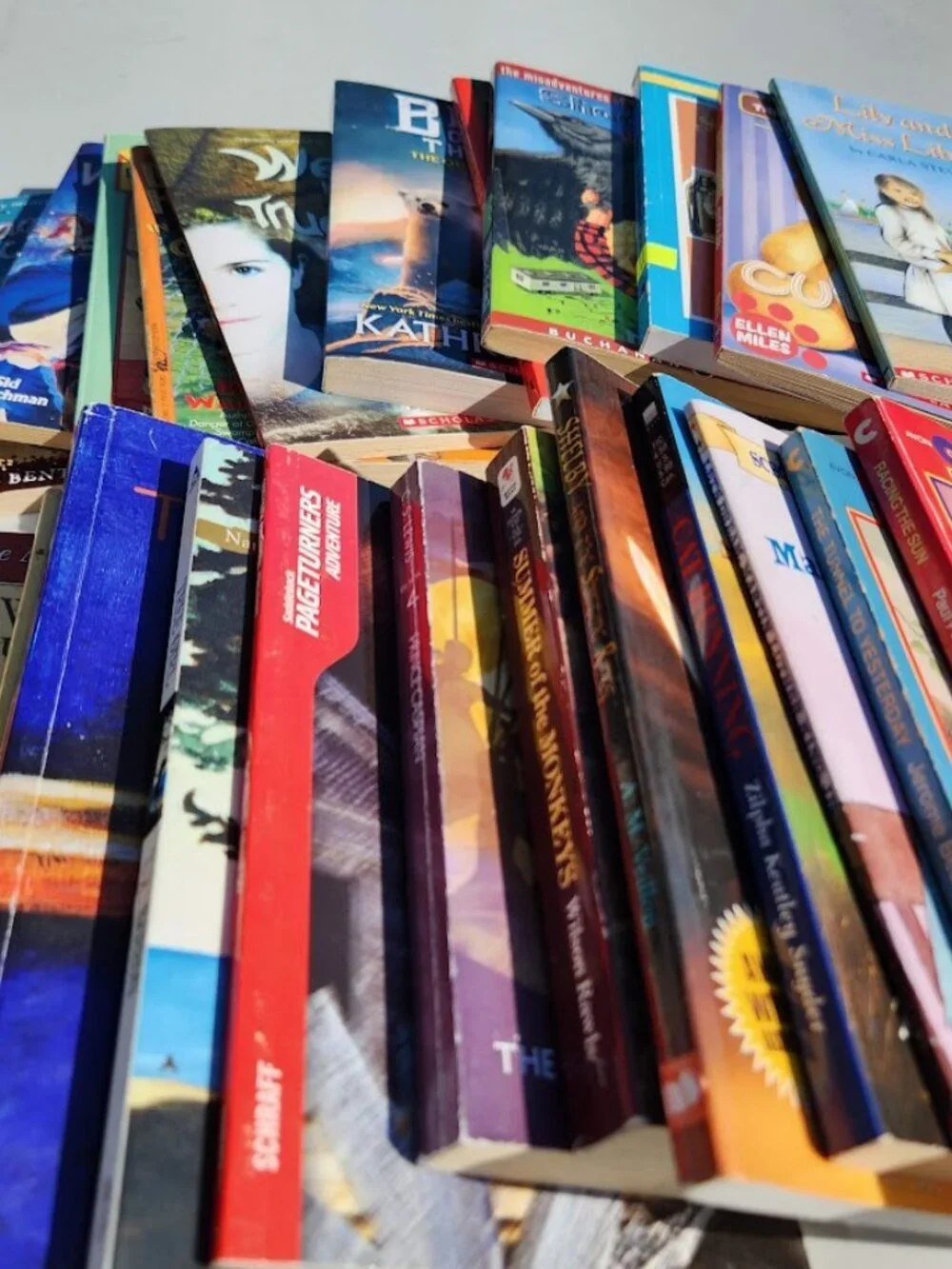 4 Book Bundle Lot Set Chapter Books Young Adult Literature Novels Mystery Books